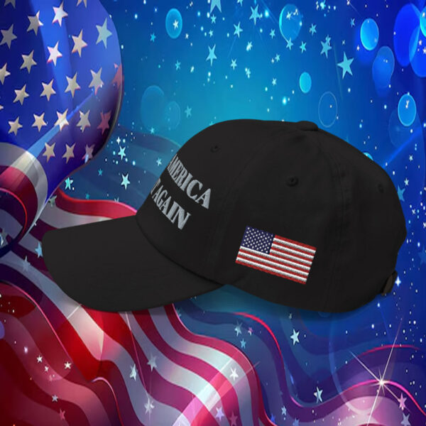 Trump - Elon Musk MAGA Hat