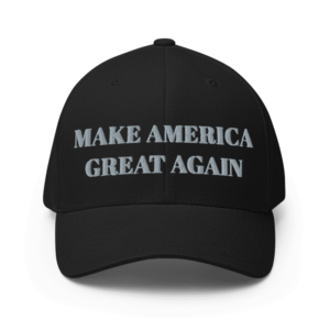 ‘Dark MAGA’ HAT Elon Musk rallies onstage with Trump in Pennsylvania