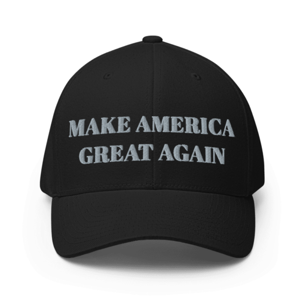 ‘Dark MAGA’ HAT Elon Musk rallies onstage with Trump in Pennsylvania