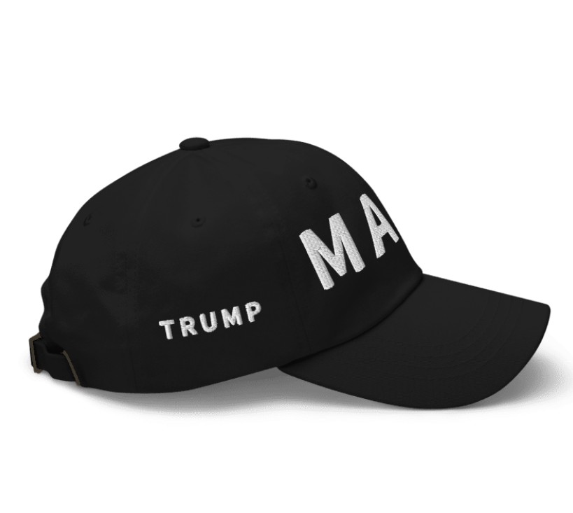 Trump Musk MAGA Hat