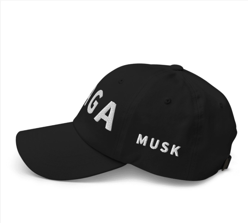 Trump Musk MAGA Hat