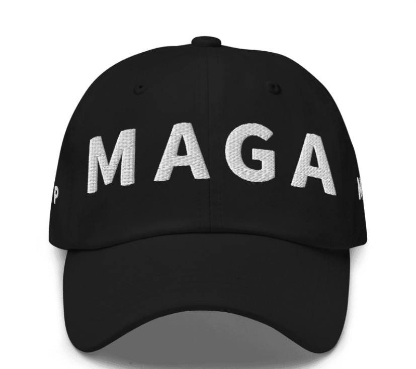Trump Musk MAGA Hat