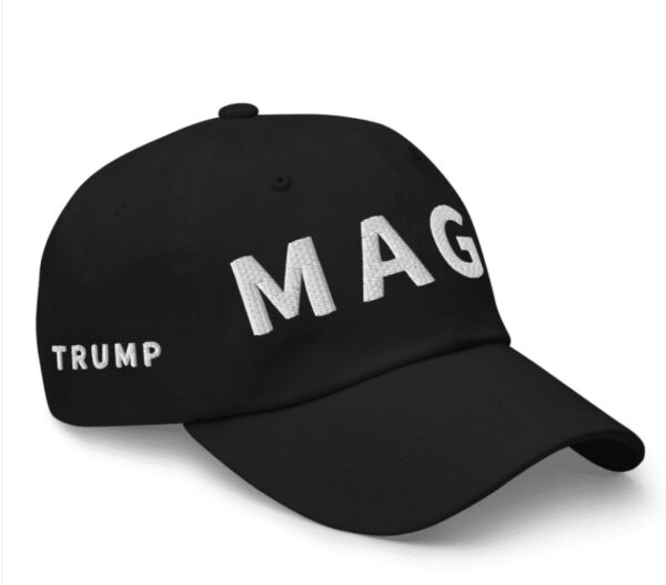 Trump Musk MAGA Hat