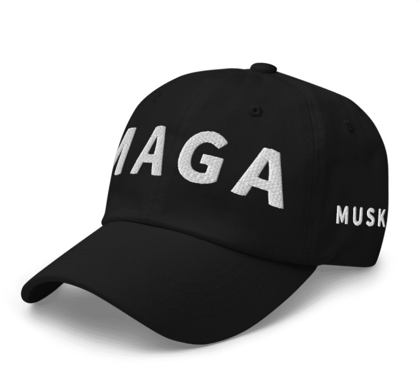Trump Musk MAGA Hat