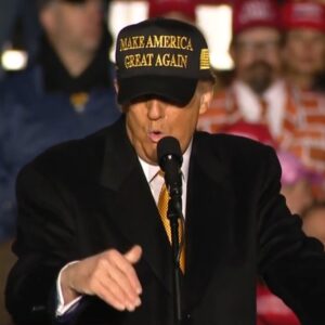 Trump Gold Dark MAGA Hat