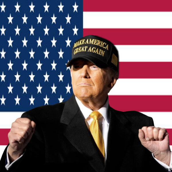 Trump Won - Gold Dark Maga Hat