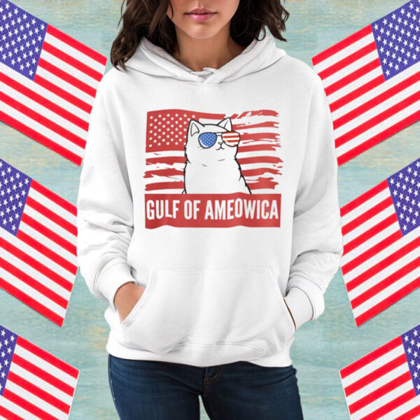 Gulf of Ameowica SHIRT