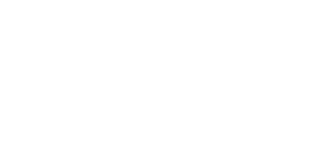 Truth Limousine Services White Logo