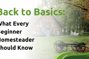 Back to Basics: What Every Beginner Homesteader Should Know