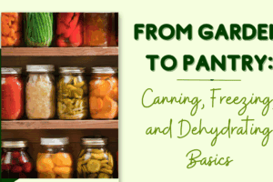 From Garden to Pantry: Canning, Freezing, and Dehydrating Basics