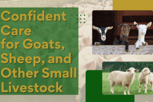 Confident Care for Goats, Sheep, and Other Small Livestock