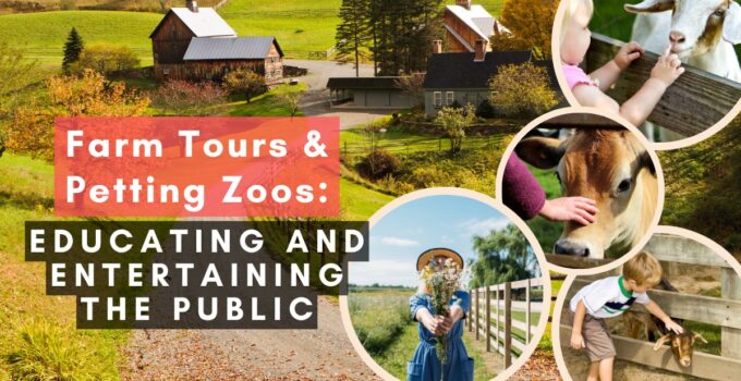 Fascinating Farm Tours & Petting Zoos: Educating and Entertaining the ...