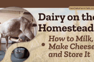 Delicious Dairy on the Homestead: How to Milk, Make Cheese, and Store It