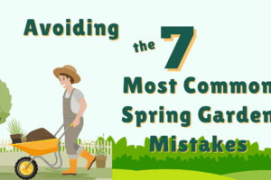 Avoiding the 7 Most Common Spring Garden Mistakes