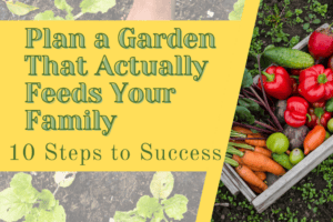 Plan a Garden That Actually Feeds Your Family – 10 Steps to Success
