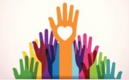 Social Work - Liver Transplant