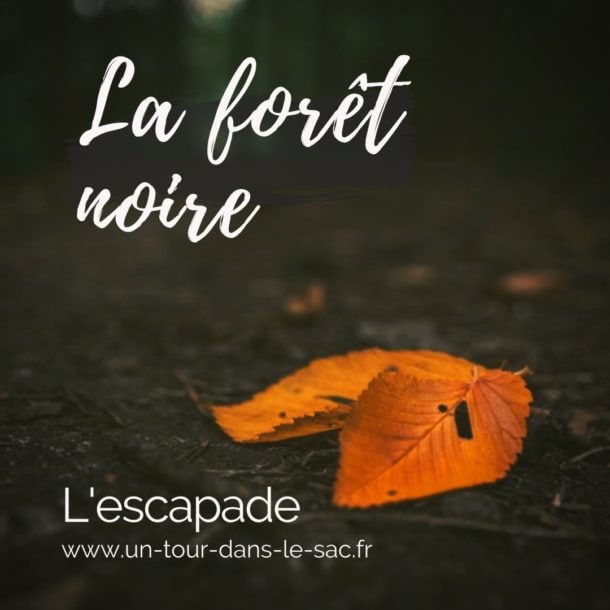La forêt noire, Allemagne