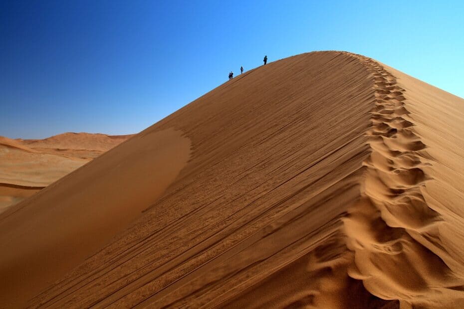Dead Vlei