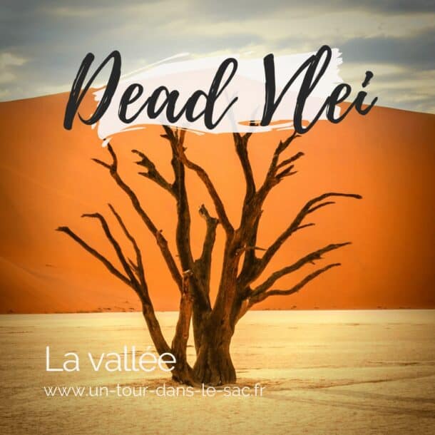 Visiter Dead Vlei