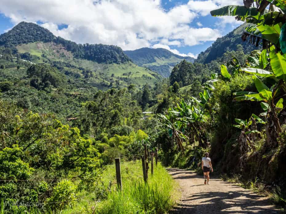 Que faire en Colombie ?