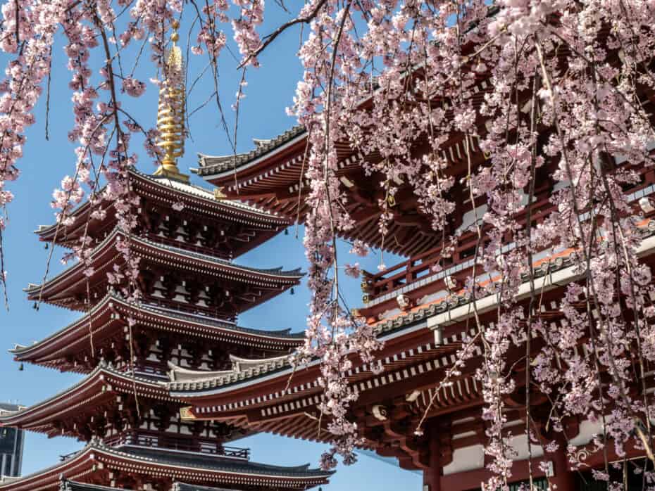 Budget voyage Tokyo