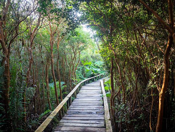 Parc national Chiloé