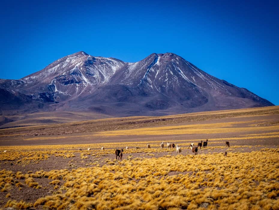 visite atacama conseils itinéraire