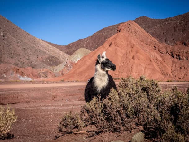 vallée arc-en-ciel désert atacama