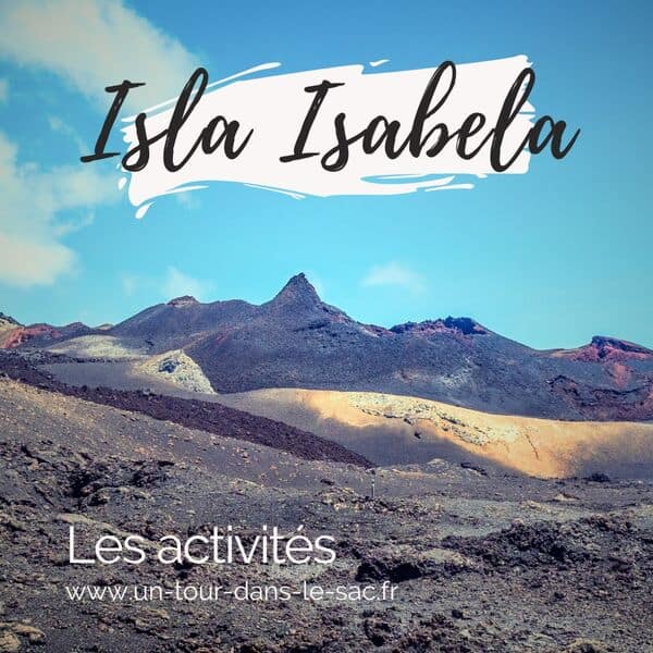 Que faire sur l’île Isabela, Galápagos ?