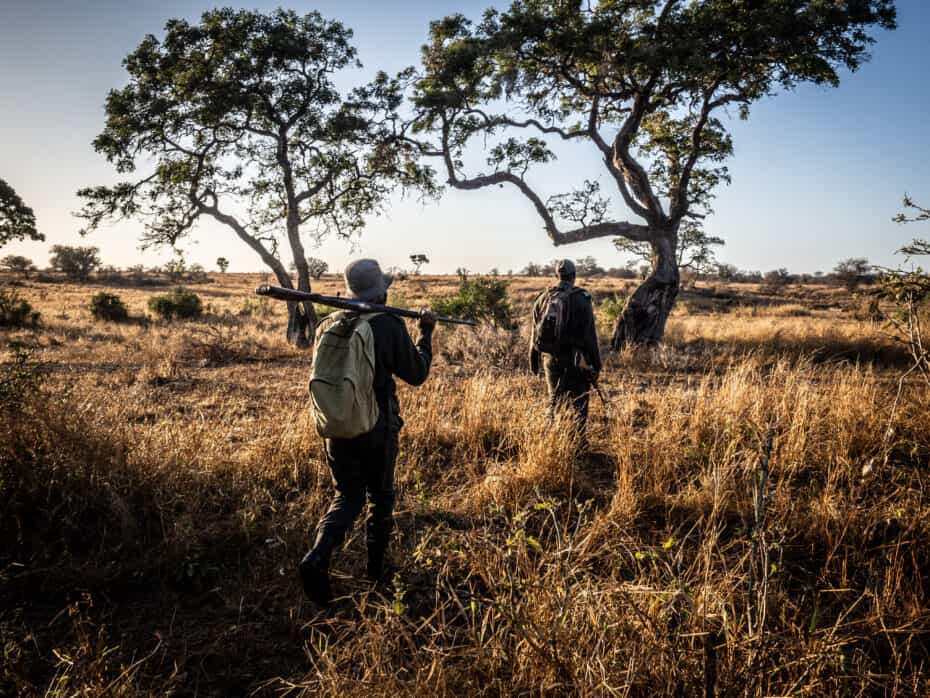 Randonnée safari afrique du sud Parc