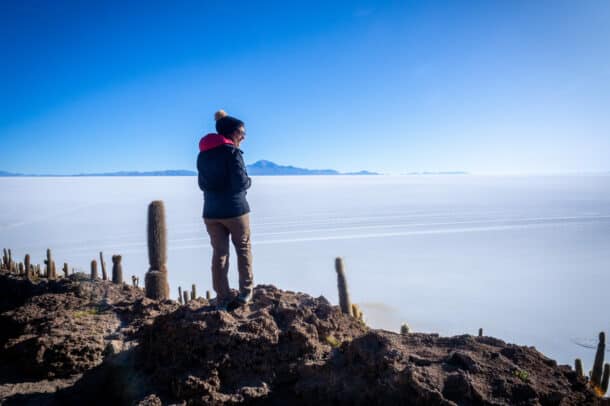 île Incahuasi Salar Uyuni