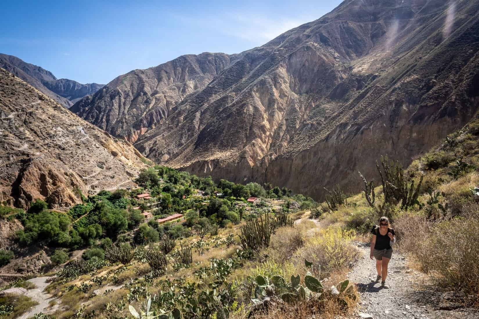 Trek 2 jours canyon de colca