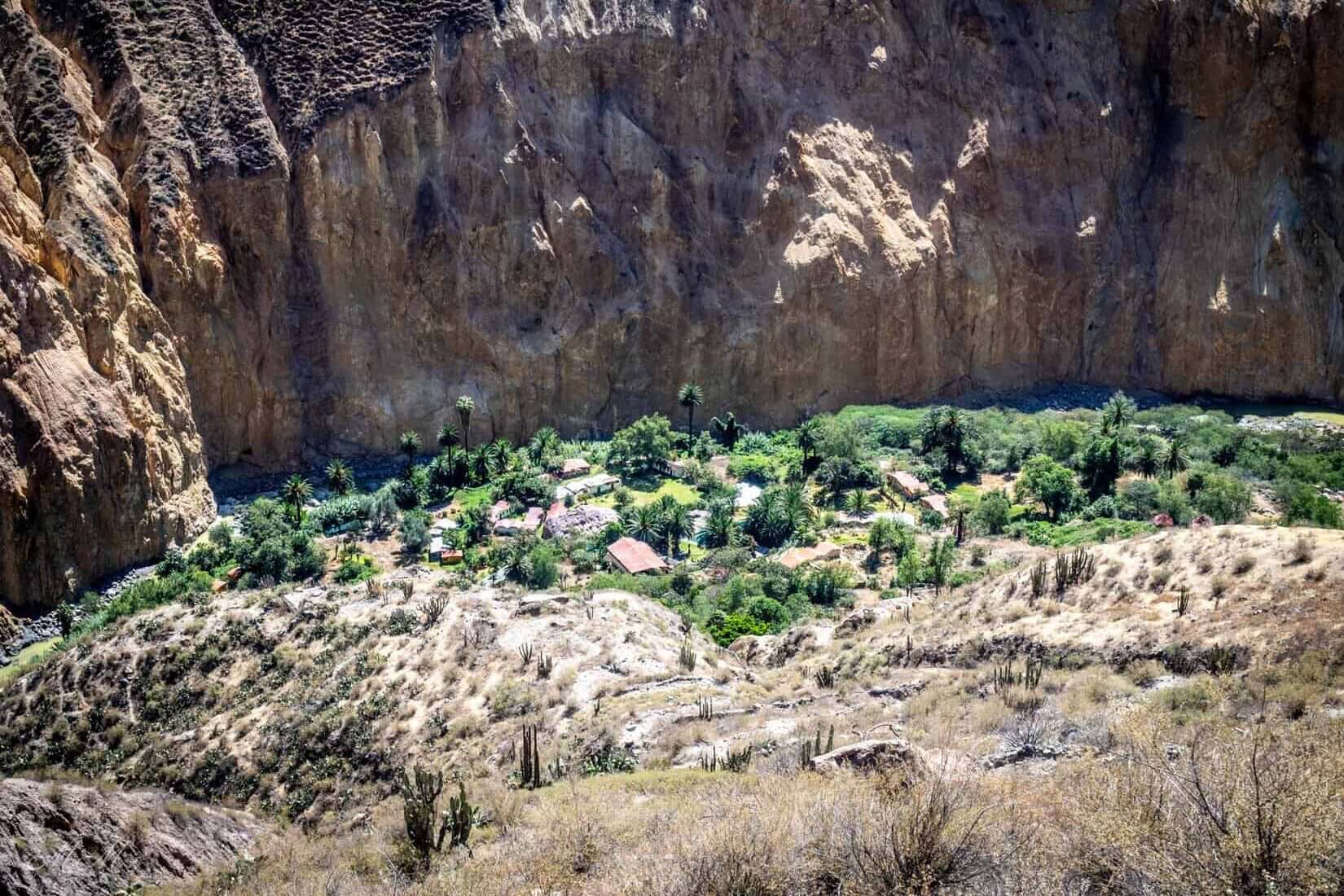 Sangalle oasis