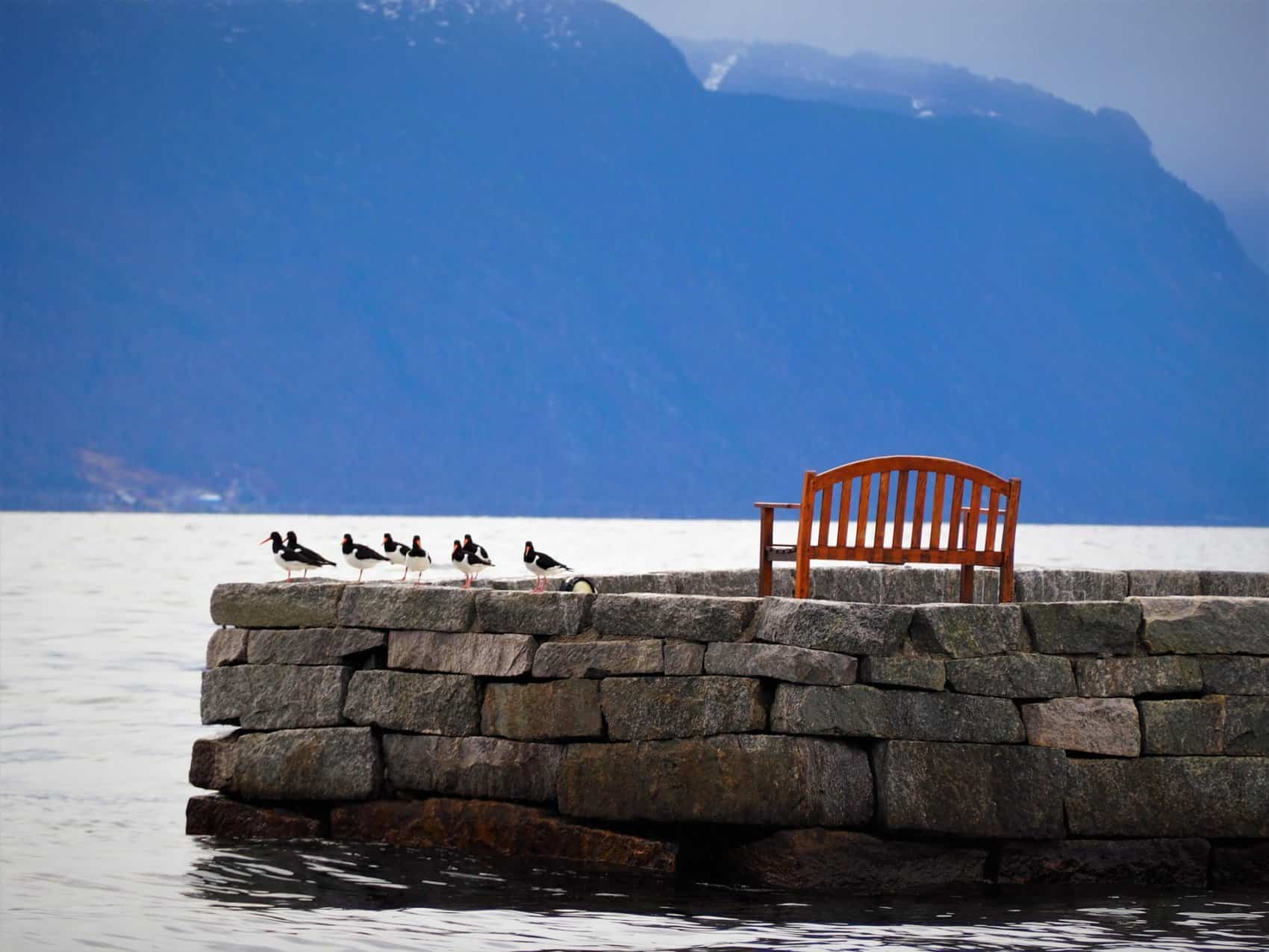 Fjord Balestrand