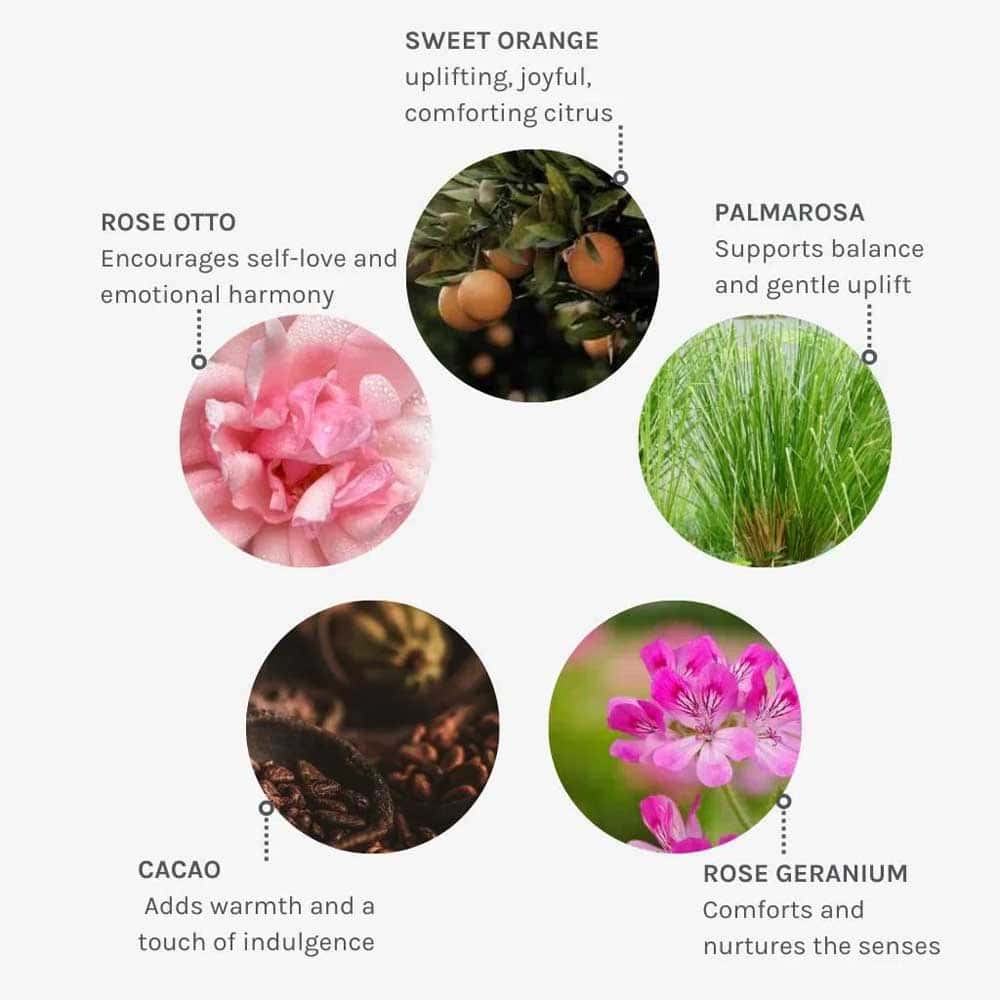 Wild Divine Bio Retinol Body Oil 4