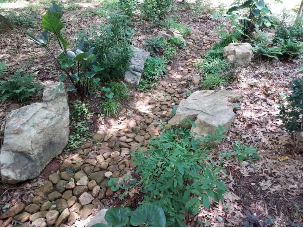 Vegetated bioswale channel with native plants and boulders at the UGA GSI demo site