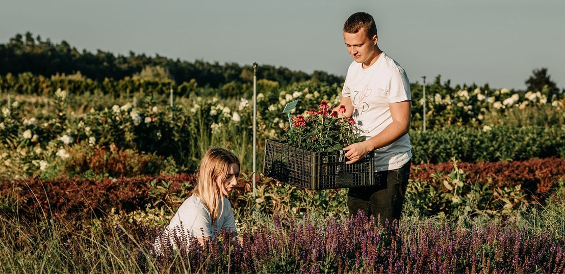 Kobieta i dziewczynka zbierają zioła w ogrodzie ziołowym.