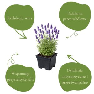 c27f28b485f4864e42ed0fa54f3b51e4