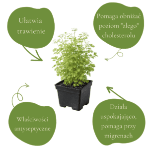 5c4dd7d61ca1f0b6b7a4fe378583ea5d