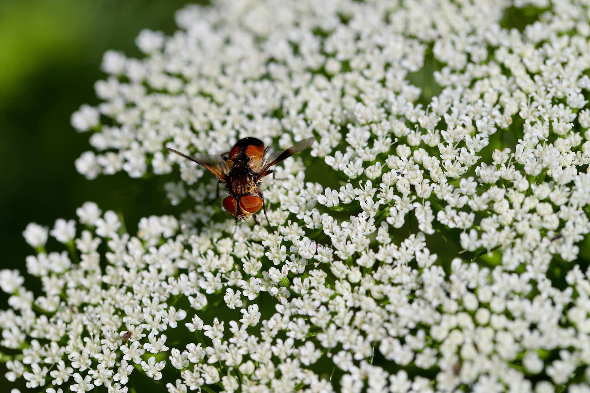 81cb4023848b92089f59061083e7d94b