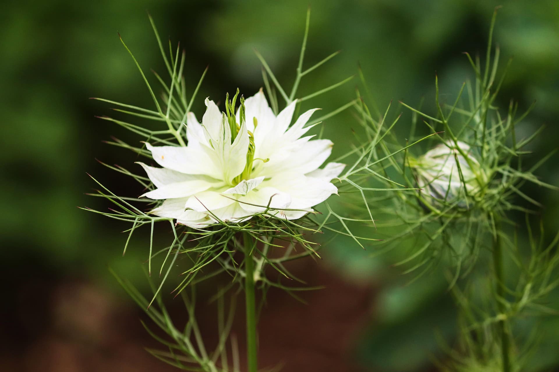 25d21c1150179266ab75328b57d24952