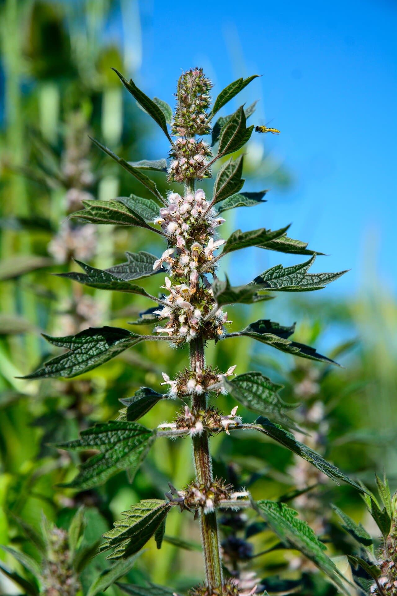 f81a9798f1fcf9c5f1d02f9046f9e00e