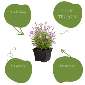 fa251ca5524530c13977a7a151143396