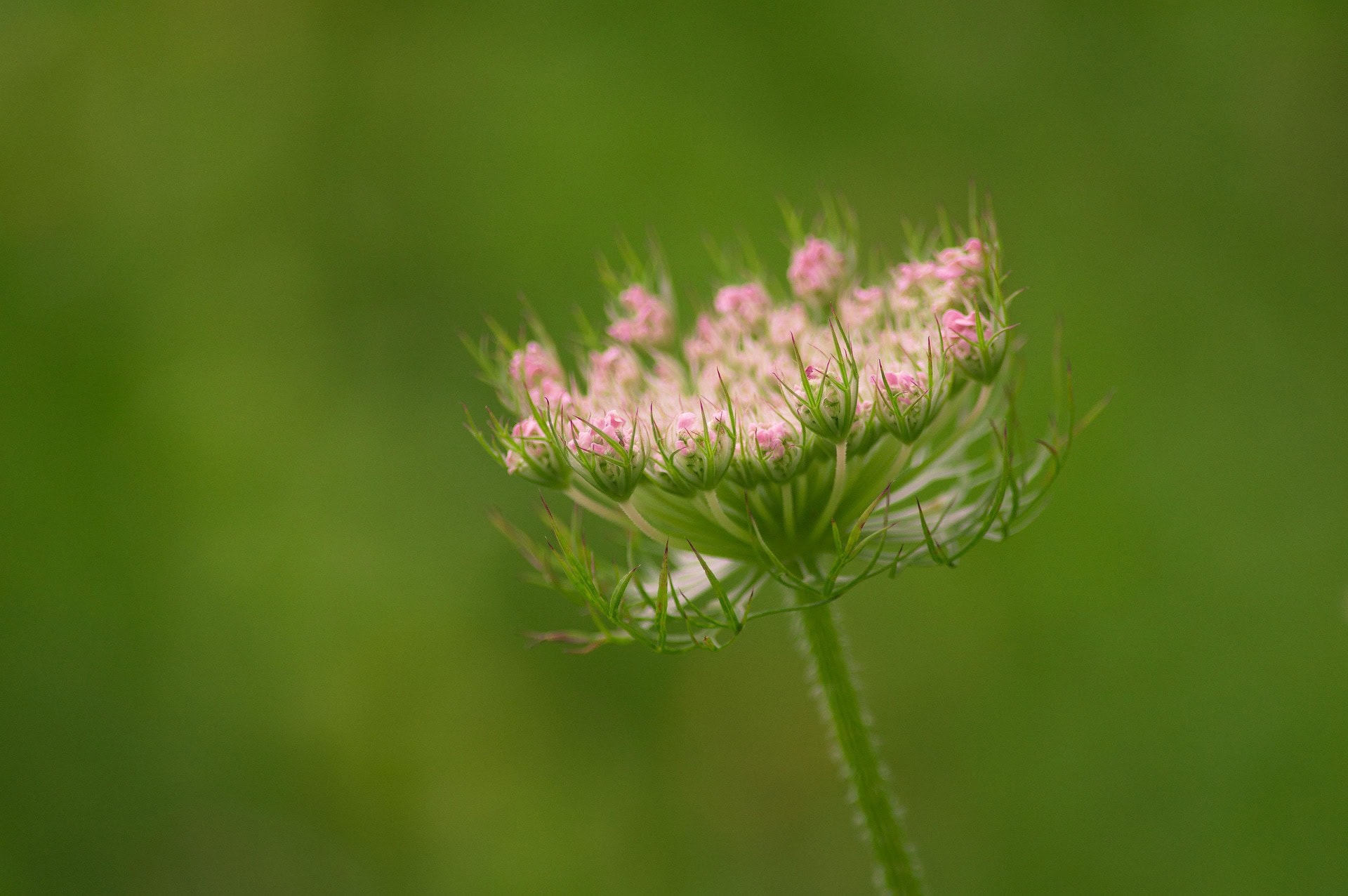 855d2ef4062fe1bc08dbe3ae37aa2e6d