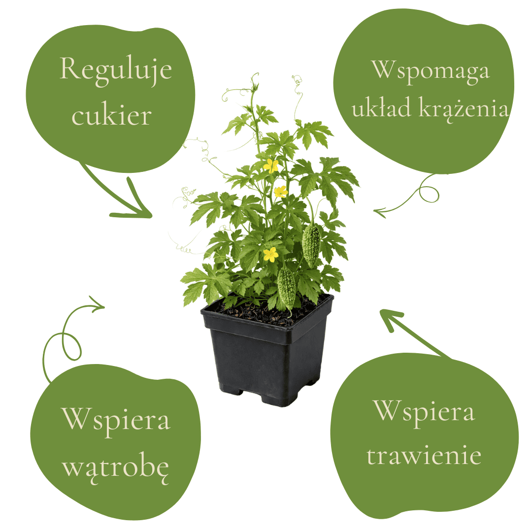 7da290898fb6d2bc7bc74dd09ad2c0f2