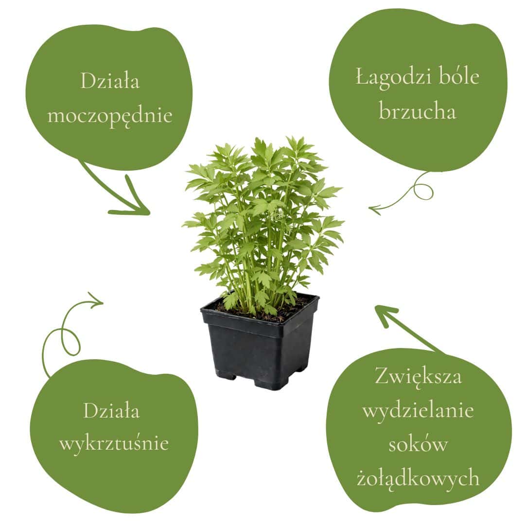 0a4f4a96b3b1838ac3433c96d41fe419