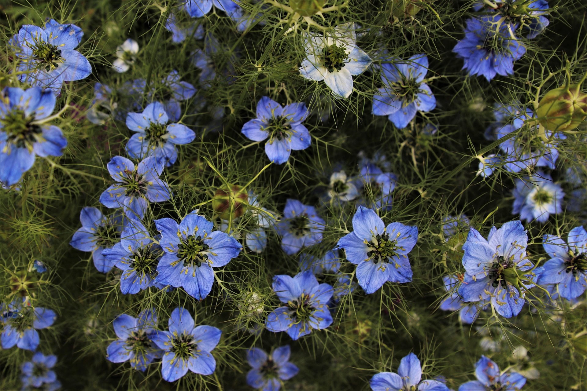 0c6c4573ec79b7f99572525c67f843f2