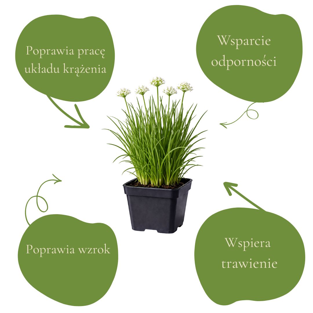 d903e983c639f90a4ba1bd7865c26c1f