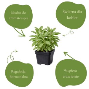 f6c1462b488e93ea0b70ecd6490e70cd