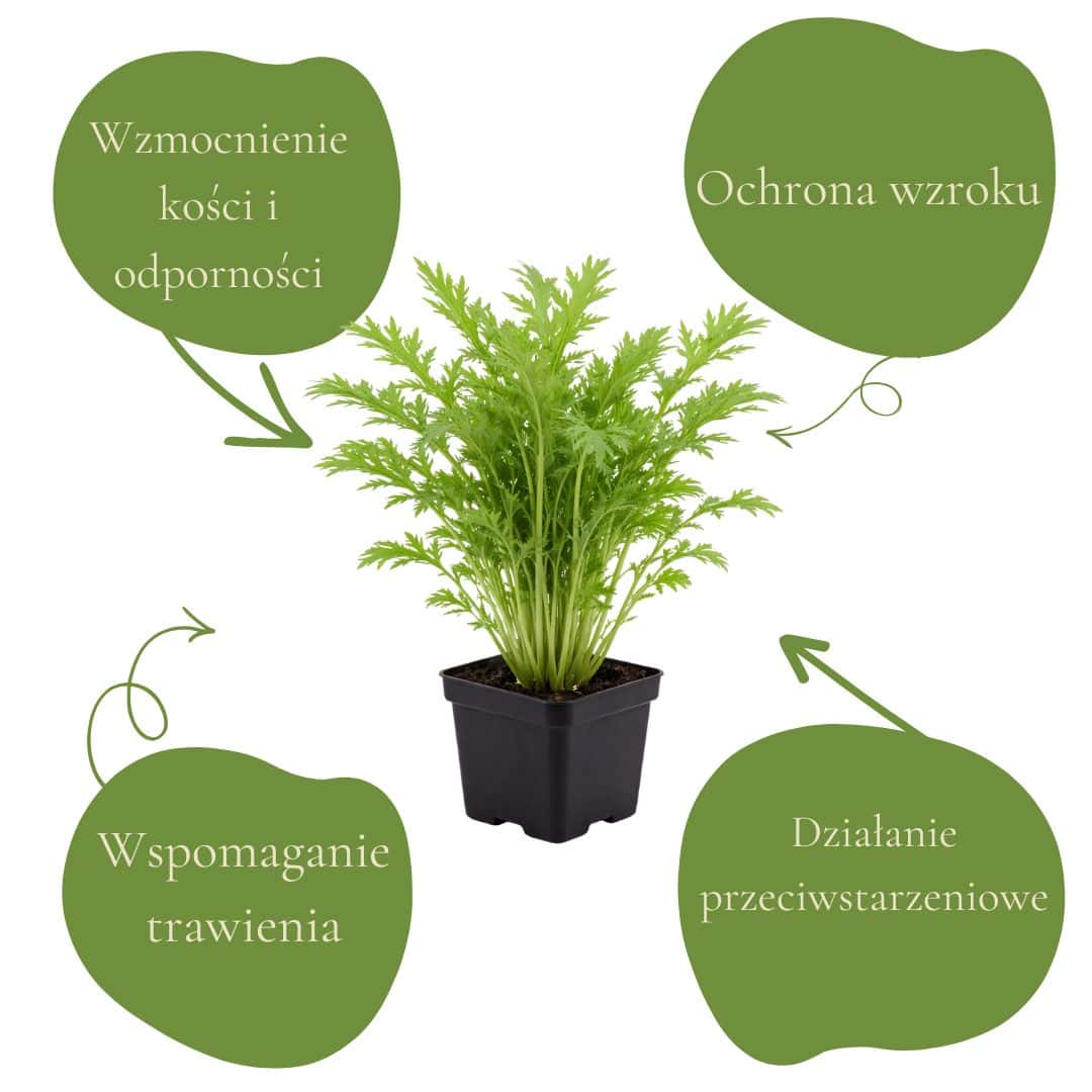 9b075e3f2f7bbb754228645ad341219b